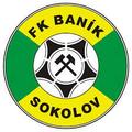 https://www.fksokolov.cz/